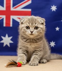 Australia